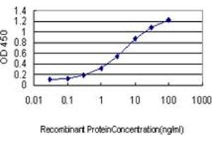 Detection limit for recombinant GST tagged NRAS is approximately 0. (GTPase NRas 抗体  (AA 90-189))