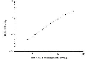 Typical standard curve (Neuregulin 1 ELISA 试剂盒)