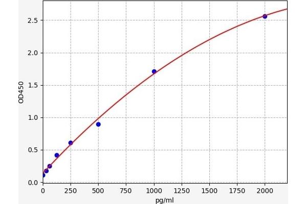 BTG3 ELISA 试剂盒