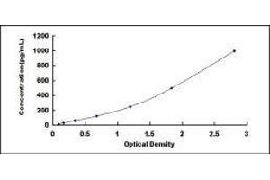 ELISA image for Bone Morphogenetic Protein 8B (BMP8) ELISA Kit (ABIN425318) (BMP8B ELISA 试剂盒)