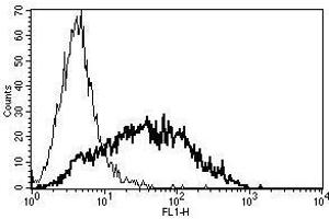 A typical staining pattern with the B-F2 monoclonal antibody of PHA activated lymphocytes (CD25 抗体)