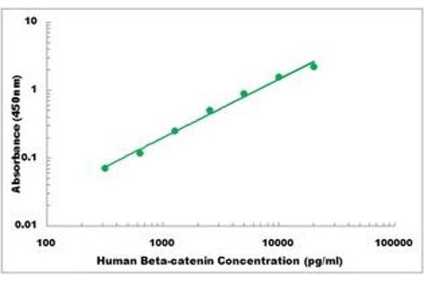 beta Catenin ELISA 试剂盒