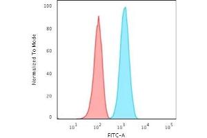 Flow Cytometric Analysis of T98G cells using GFAP Rabbit Recombinant Monoclonal Antibody (ASTRO/1974R) followed by Goat anti-Rabbit IgG-CF488 (Blue); Isotype Control (Red). (Recombinant GFAP 抗体)