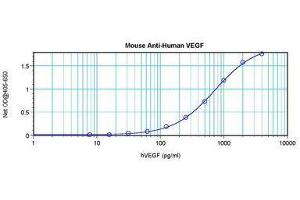 Image no. 1 for anti-Vascular Endothelial Growth Factor A (VEGFA) antibody (ABIN465162) (VEGFA 抗体)