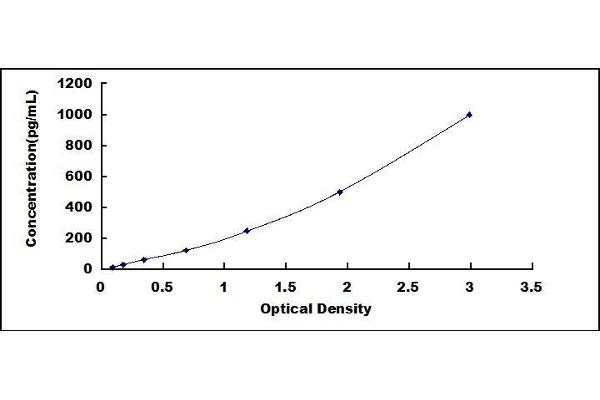 Nerve Growth Factor ELISA 试剂盒