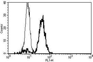 A typical staining pattern with the B-T7 monoclonal antibody of monocytes (CD86 抗体)