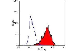 Flow Cytometry (FACS) image for anti-CD90 (THY1) antibody (ABIN2472788) (CD90 抗体)