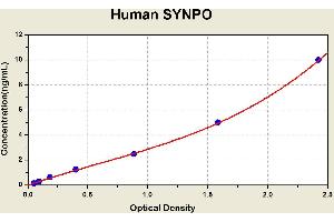 Diagramm of the ELISA kit to detect Human SYNPOwith the optical density on the x-axis and the concentration on the y-axis. (SYNPO ELISA 试剂盒)