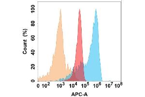 JAM-A protein is highly expressed on the surface of Expi293 cell membrane. (F11R 抗体)