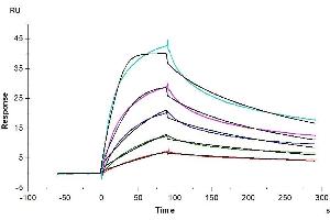 Surface Plasmon Resonance (SPR) image for Proprotein Convertase Subtilisin/kexin Type 9 (PCSK9) (AA 31-692) protein (His tag) (ABIN7275415)