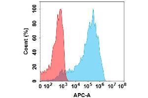 Flow cytometry analysis with 1 μg/mL Anti-AXL(mecbotamab biosimilar) mAb ((ABIN7538755)) on Expi293 cells transfected with Human AXL protein (Blue histogram) or Expi293 transfected with irrelevant protein (Red histogram). (AXL (Mecbotamab Biosimilar) 抗体  (Glu239Asp-Mutant, Met241Leu-Mutant))