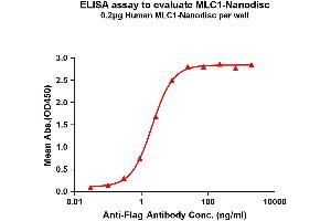 Elisa plates were pre-coated with Flag Tag -Nanodisc (0. (MLC1 蛋白)