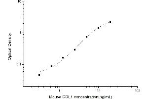 Typical standard curve (Collagen Type I ELISA 试剂盒)