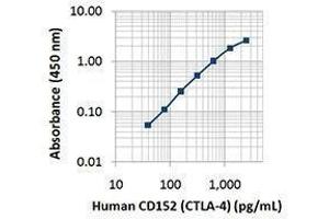 ELISA image for anti-Cytotoxic T-Lymphocyte-Associated Protein 4 (CTLA4) antibody (Biotin) (ABIN2660787) (CTLA4 抗体  (Biotin))