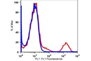 Image no. 2 for anti-Membrane-Spanning 4-Domains, Subfamily A, Member 1 (MS4A1) antibody (FITC) (ABIN2704213) (CD20 抗体  (FITC))