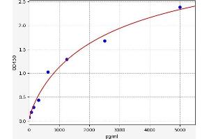 DUOX2 ELISA 试剂盒