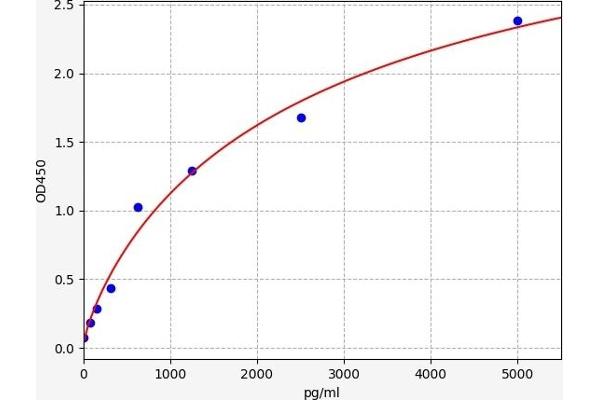 DUOX2 ELISA 试剂盒