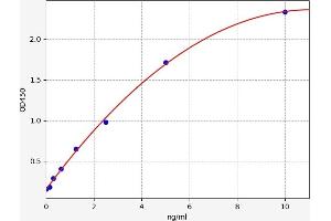 Typical standard curve (BNIP3L/NIX ELISA 试剂盒)