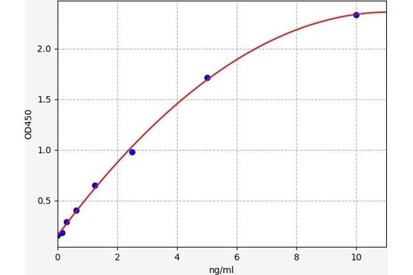 BNIP3L/NIX ELISA 试剂盒