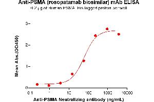 ELISA plate pre-coated by 2 μg/mL (100 μL/well) Human PSMA Protein, His Tag ABIN7092710, ABIN7272236 and ABIN7272237 can bind Anti-PSMA Neutralizing antibody (ABIN7478020 and ABIN7490988) in a linear range of 3. (Recombinant PSMA (Rosopatamab Biosimilar) 抗体)