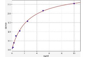 SLC25A20 ELISA 试剂盒