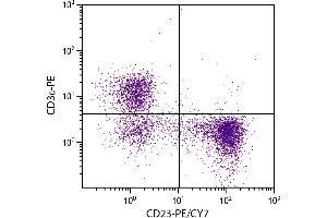 BALB/c mouse splenocytes were stained with Rat Anti-Mouse CD23-PE/CY7. (FCER2 抗体  (PE-Cy7))