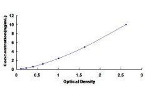 ELISA image for Paraneoplastic Antigen MA2 (PNMA2) ELISA Kit (ABIN422961) (PNMA2 ELISA 试剂盒)