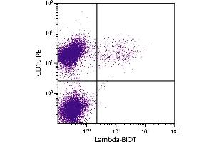 BALB/c mouse splenocytes were stained with Rat Anti-Mouse Lambda-BIOT. (大鼠 anti-小鼠 lambda Antibody (Biotin))