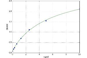 A typical standard curve (LAP3 ELISA 试剂盒)