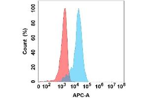 Flow cytometry analysis with Anti-GDNF on Expi293 cells transfected with human GDNF (Blue histogram) or Expi293 transfected with irrelevant protein (Red histogram). (GDNF 抗体)