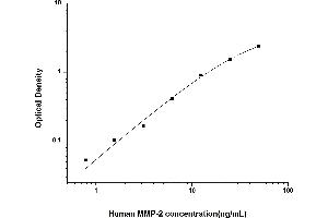 Typical standard curve (MMP2 ELISA 试剂盒)