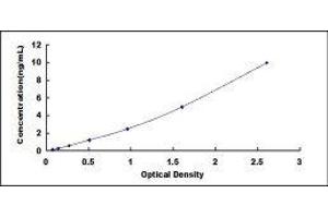 ELISA image for Peptidylprolyl Isomerase A (Cyclophilin A) (PPIA) ELISA Kit (ABIN431861) (PPIA ELISA 试剂盒)