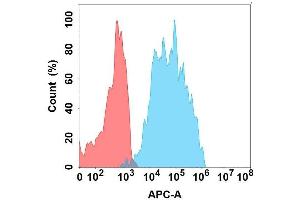 Flow cytometry analysis with Anti-IL5RA on Expi293 cells transfected with human IL5RA (Blue histogram) or Expi293 transfected with irrelevant protein (Red histogram). (IL5RA 抗体)