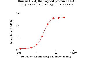 ELISA plate pre-coated by 2 μg/mL (100 μL/well) Human LIV-1 Protein, His Tag (ABIN7455490, ABIN7490968 and ABIN7490970) can bind Anti-LIV-1 Neutralizing antibody ABIN7478009 and ABIN7490985 in a linear range of 0. (SLC39A6 Protein (AA 29-325) (His tag))