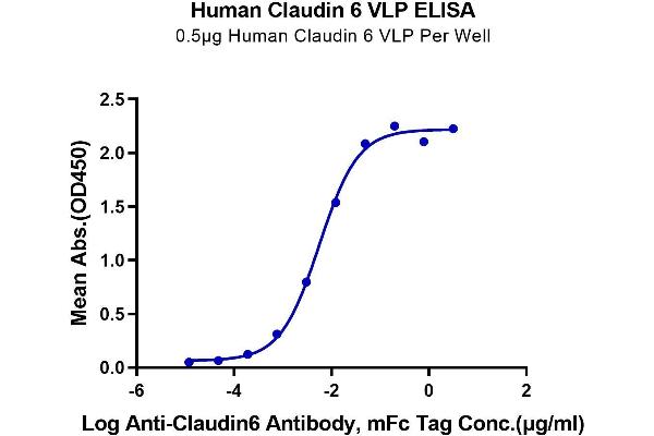 Claudin 6 Protein-VLP (CLDN6) (AA 1-220)