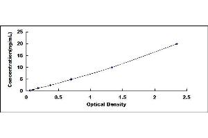 Typical standard curve (TEK ELISA 试剂盒)