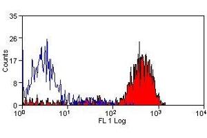 Flow Cytometry (FACS) image for anti-CD41,CD61 antibody (ABIN2480360) (CD41, CD61 抗体)