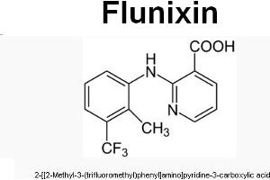 Image no. 1 for anti-Flunixin antibody (ABIN487692) (Flunixin 抗体)