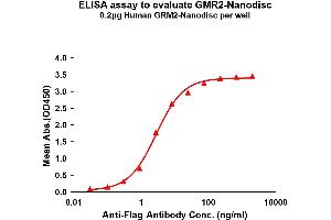 Elisa plates were pre-coated with Flag Tag -Nanodisc (0. (GRM2 蛋白)