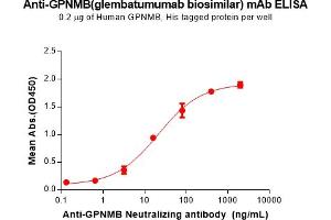 ELISA image for anti-GPNMB (Glembatumumab Biosimilar) (Ser257Ala-Mutant) antibody (ABIN7538764)