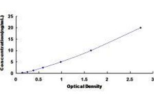 ELISA image for HSPA Binding Protein, Cytoplasmic Cochaperone 1 (HSPBP1) ELISA Kit (ABIN420477) (HSPBP1 ELISA 试剂盒)