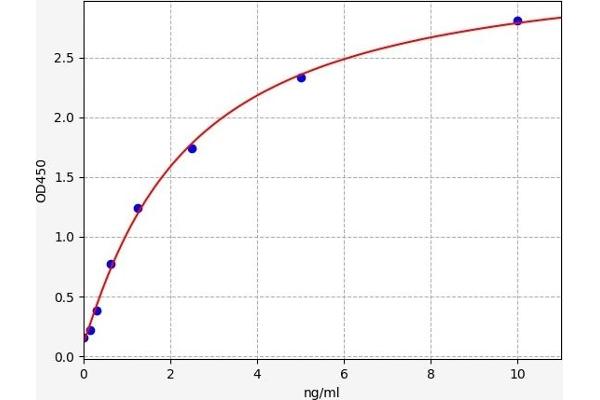 beta Catenin ELISA 试剂盒