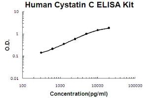 ELISA image for Cystatin C (CST3) ELISA Kit (ABIN6720328)