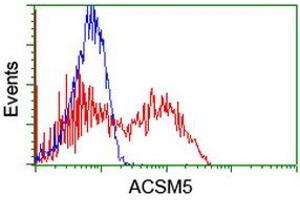 Flow Cytometry (FACS) image for anti-ACSM5 / MACS3 antibody (ABIN1496425) (ACSM5 / MACS3 抗体)