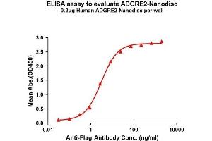 Elisa plates were pre-coated with Flag Tag AD-Nanodisc (0. (ADGRE2 蛋白)