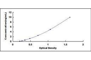 ELISA image for Growth Hormone 1 (GH1) ELISA Kit (ABIN414380) (Growth Hormone 1 ELISA 试剂盒)