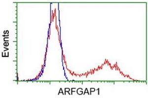Flow Cytometry (FACS) image for anti-ADP-Ribosylation Factor GTPase Activating Protein 1 (ARFGAP1) antibody (ABIN1496684) (ARFGAP1 抗体)