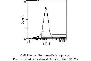 Mouse anti OX-43 Antigen OX-43 (Endothelium 抗体 (Biotin))