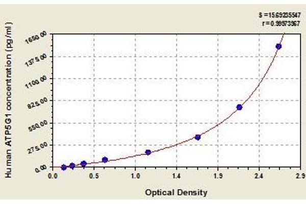 ATP5G1 ELISA 试剂盒