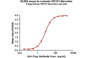 Elisa plates were pre-coated with Flag Tag OR1E1-Nanodisc (0. (OR1E1 蛋白)